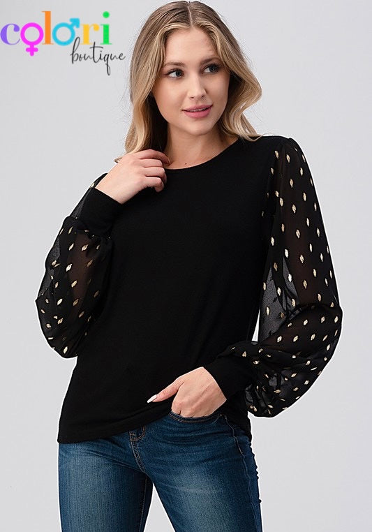 Long Chiffon Sleeve Top